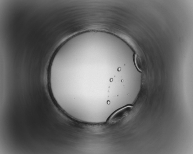 X0000089850999200707121714
