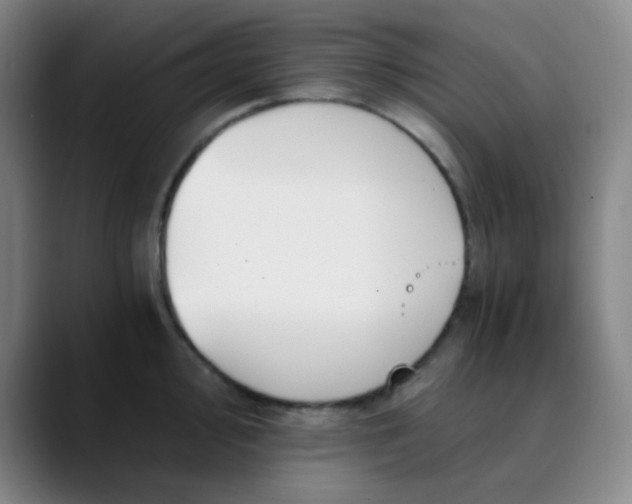 X0000089851000200707121714