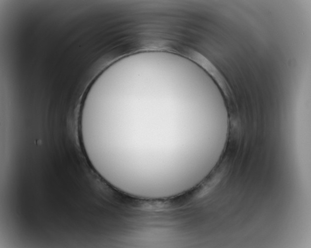 X0000089851002200707121714