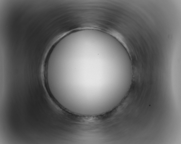 X0000089851003200707121714