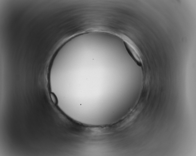 X0000089851005200707121714