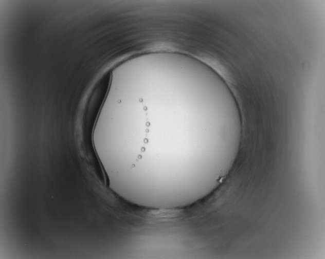 X0000089851008200707121714