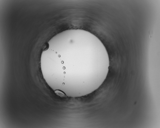 X0000089851009200707121714
