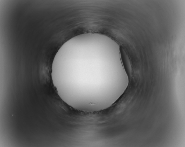 X0000089851010200707121714