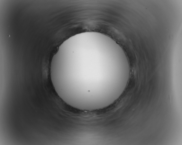 X0000089851012200707121714
