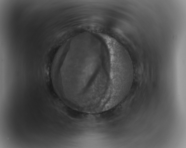 X0000089851013200707121714