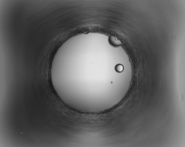 X0000089851014200707121714