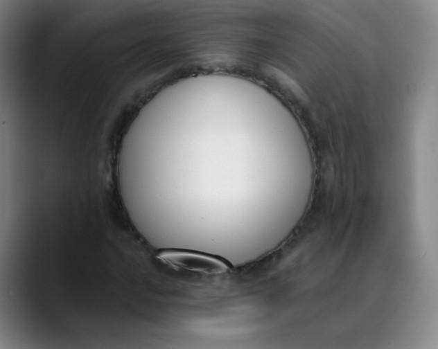 X0000089851016200707121714