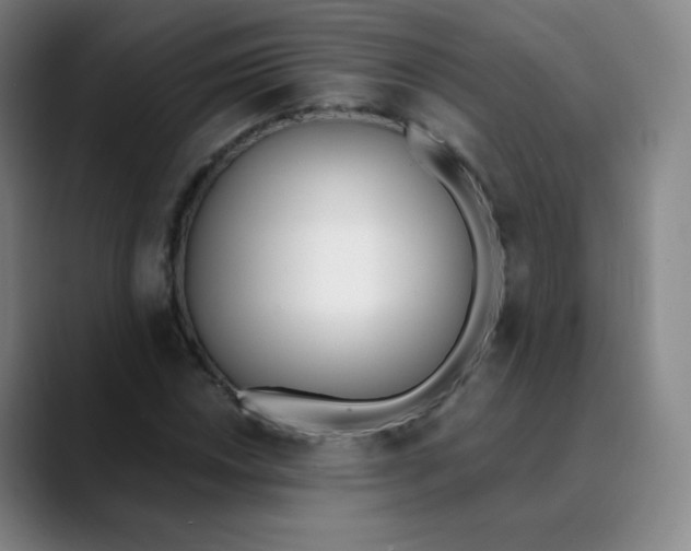 X0000089851018200707121714