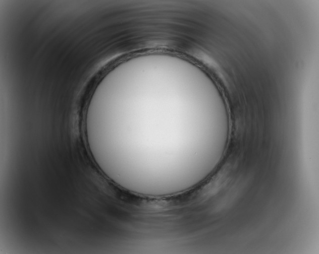 X0000089851019200707121714