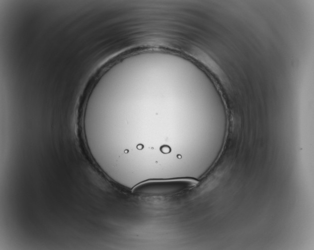 X0000089851020200707121714