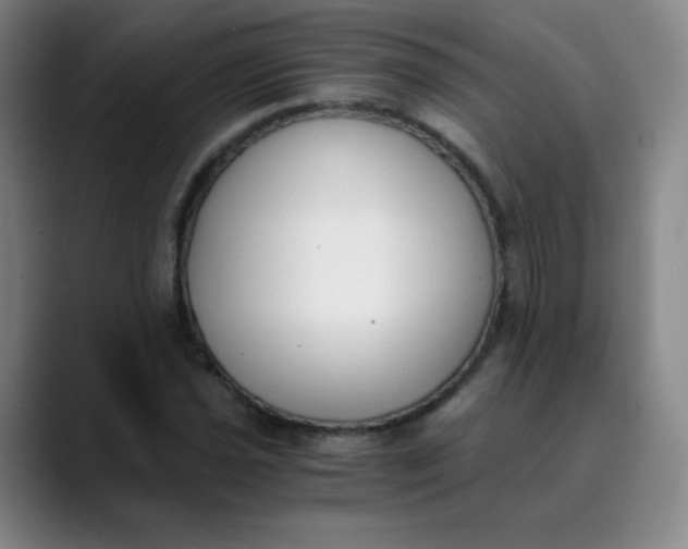 X0000089851021200707121714