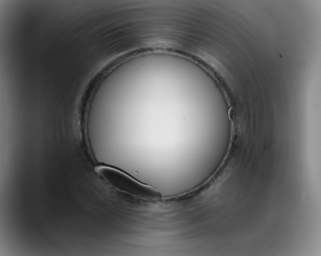 X0000089851022200707121714