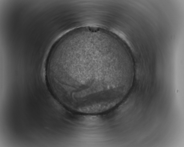 X0000089851024200707121714