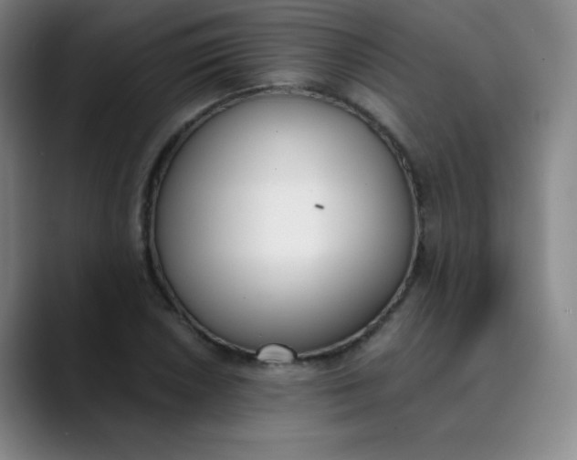X0000089851026200707121714