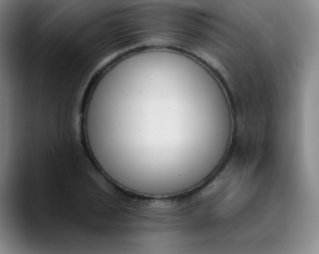 X0000089851029200707121714