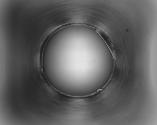 X0000089851030200707121714