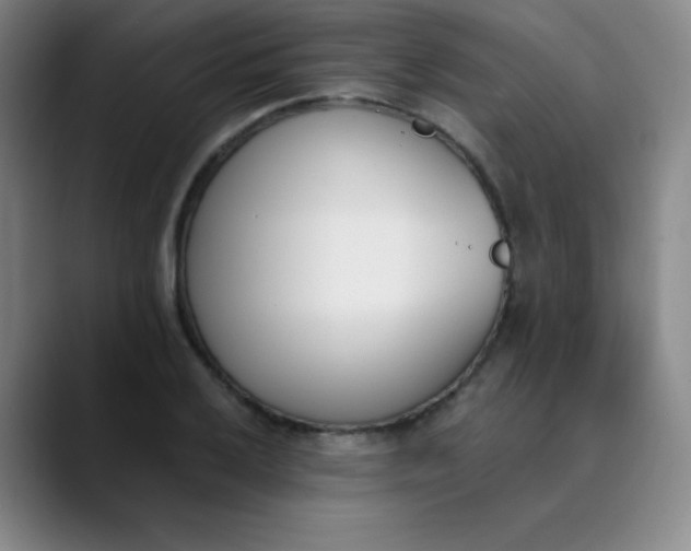 X0000089851032200707121714