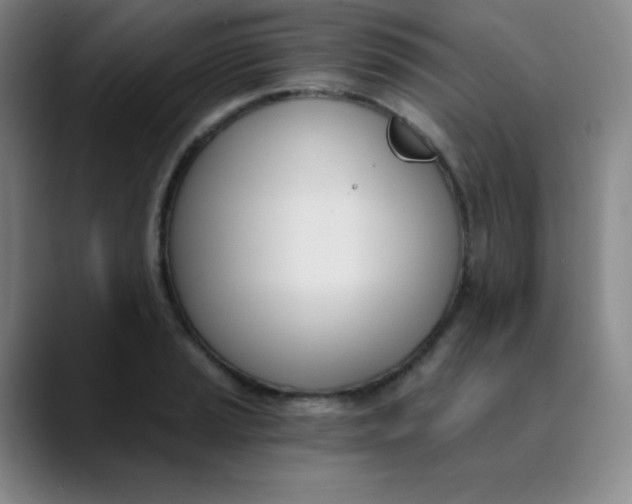 X0000089851037200707121714