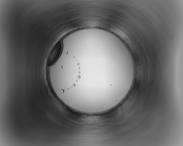X0000089851039200707121714