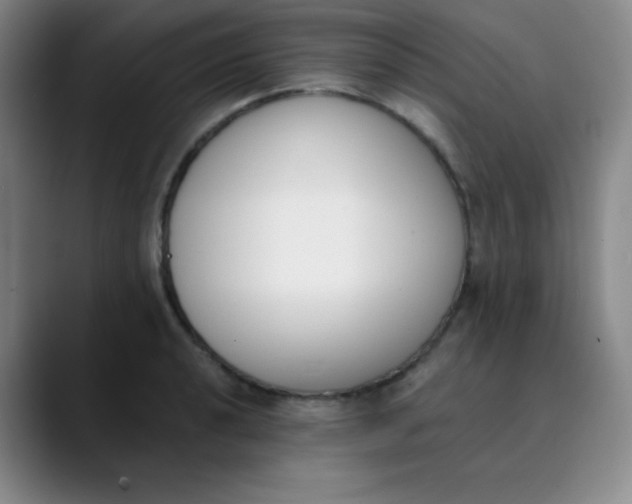 X0000089851040200707121714