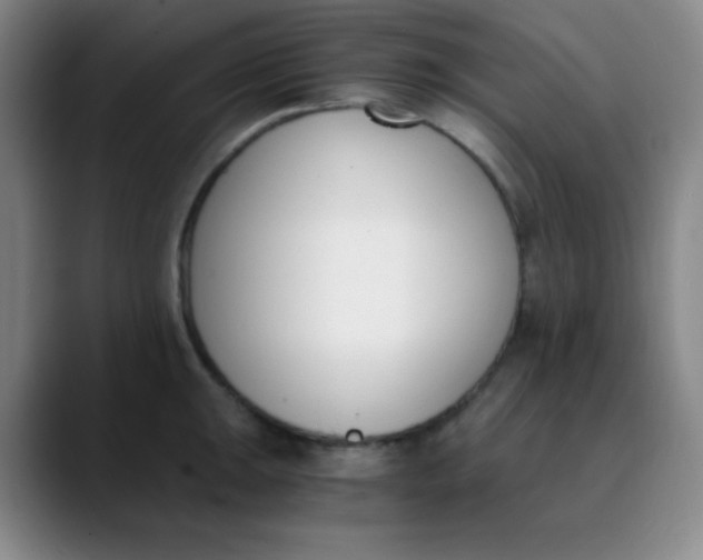 X0000089851047200707121714