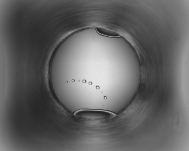 X0000089851048200707121714