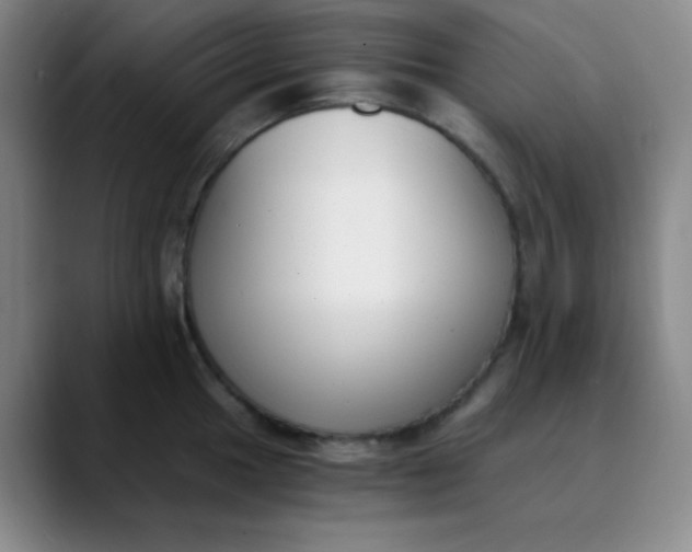 X0000089851049200707121714