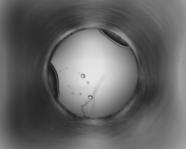 X0000089851053200707121714