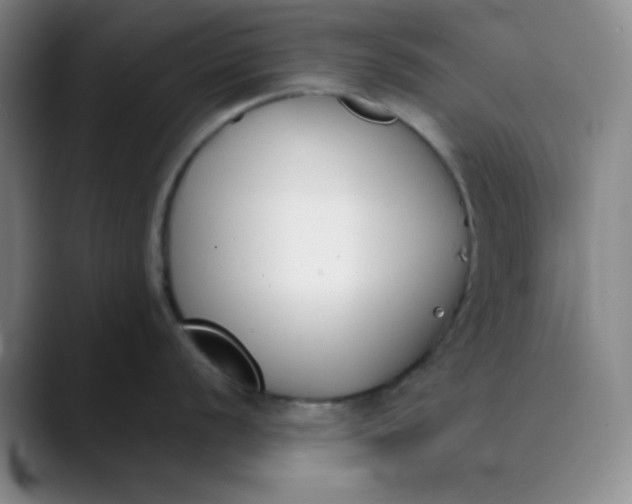 X0000089851056200707121714