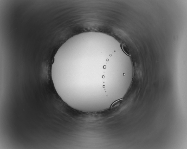X0000089851060200707121714