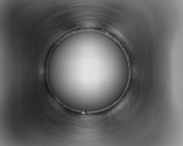 X0000089851065200707121714