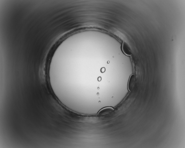 X0000089851068200707121714