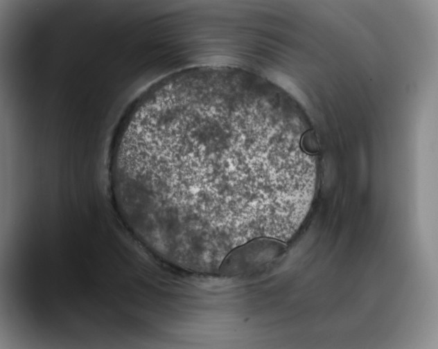 X0000089851071200707121714
