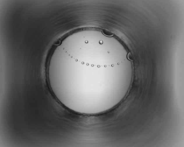 X0000089851072200707121714