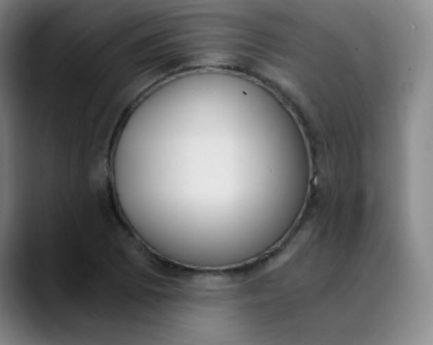 X0000089851073200707121714