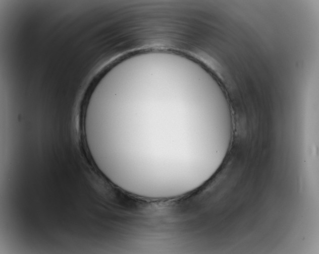 X0000089851078200707121713