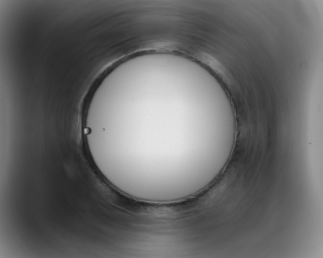X0000089851079200707121713
