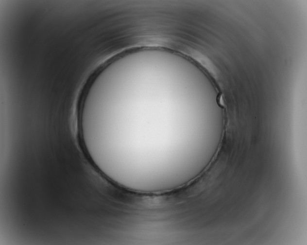 X0000089851080200707121713
