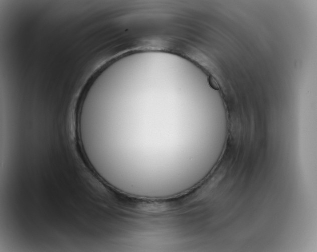 X0000089851083200707121713