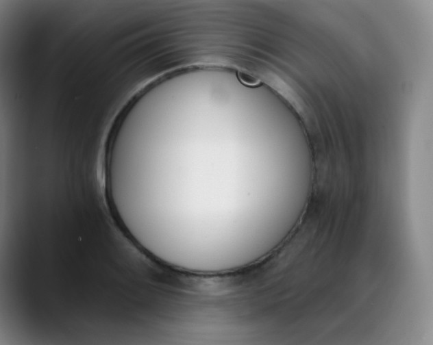 X0000089851084200707121713