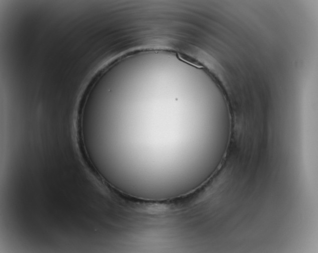 X0000089851085200707121713