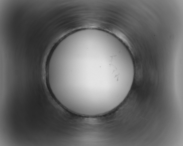 X0000089851088200707121713