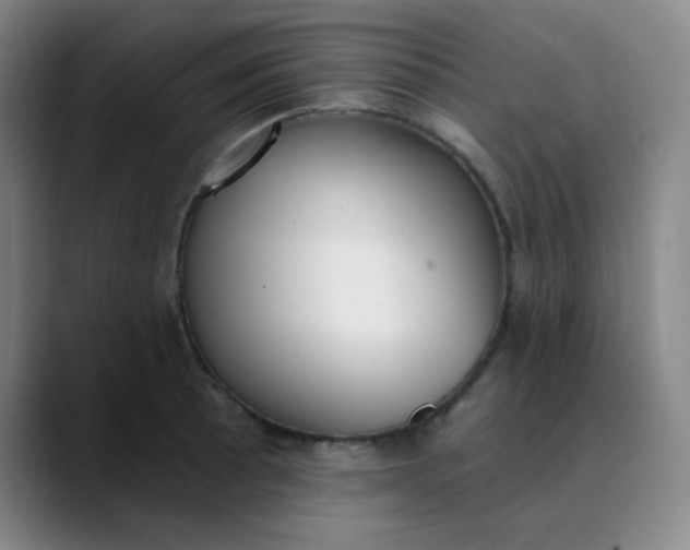 X0000089851089200707121713