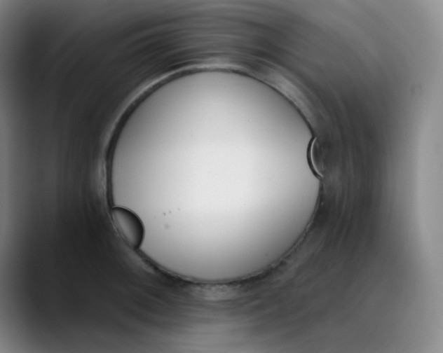 X0000089851092200707121713