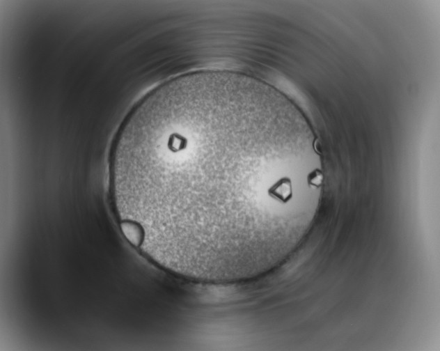 X0000089851095200707121713