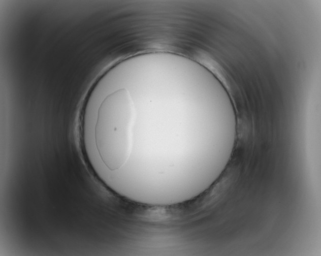 X0000089851098200707121713
