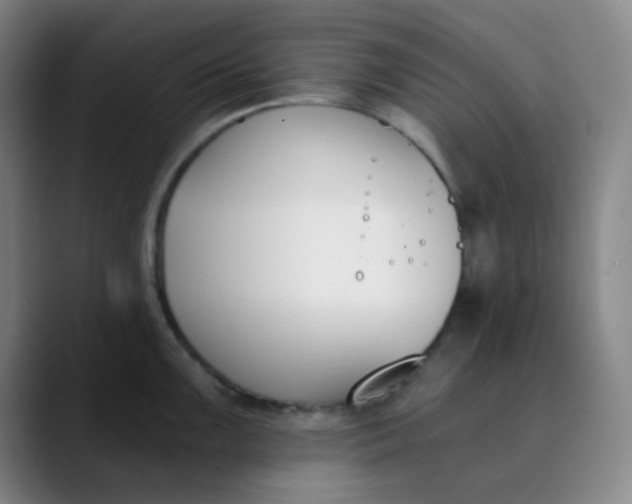 X0000089851099200707121713