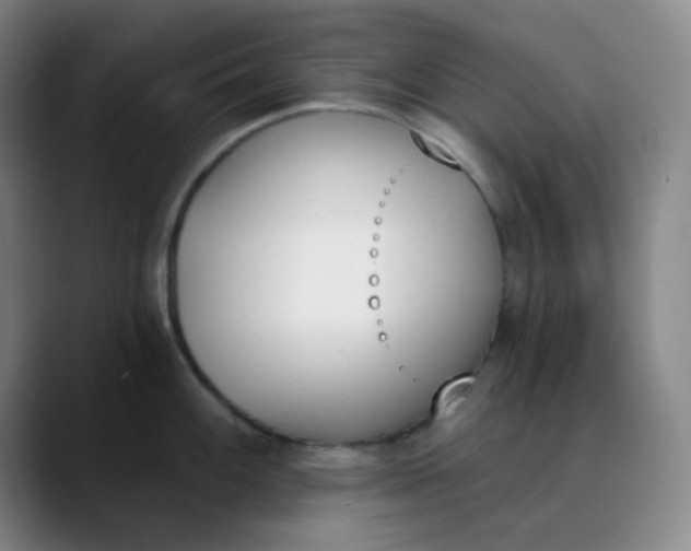 X0000089851100200707121713