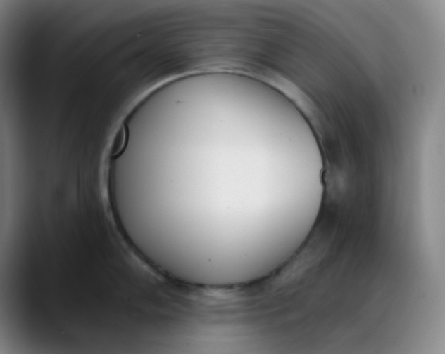 X0000089851102200707121713